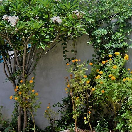 Bed and Breakfast Bellaxy Ceylon Esterno foto